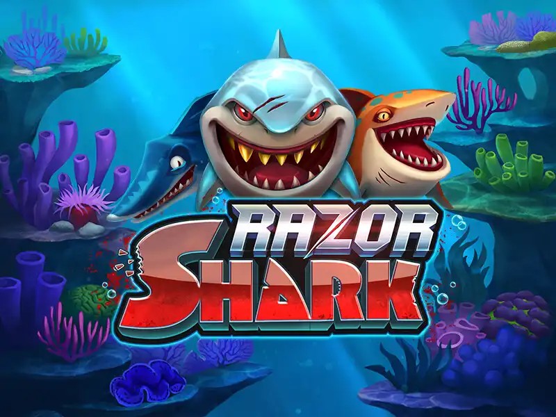 Razor Shark logo by Push Gaming 1Redbet